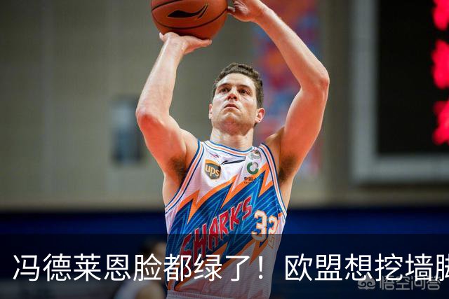 冯德莱恩脸都绿了！欧盟想挖墙脚反被将一军，什么叫中国力量