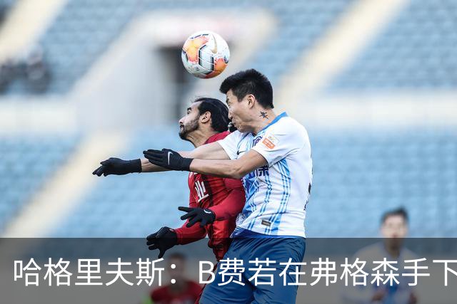 哈格里夫斯：B费若在弗格森手下说这话，就没机会再上场了