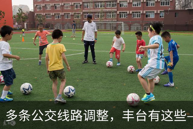多条公交线路调整，丰台有这些——