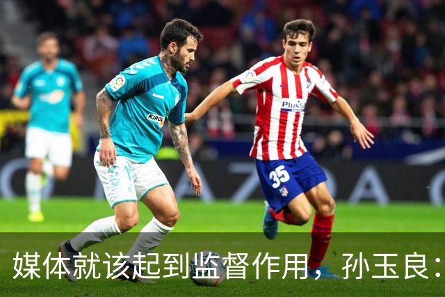 媒体就该起到监督作用，孙玉良：需要唱赞歌，请把这个权利给人民