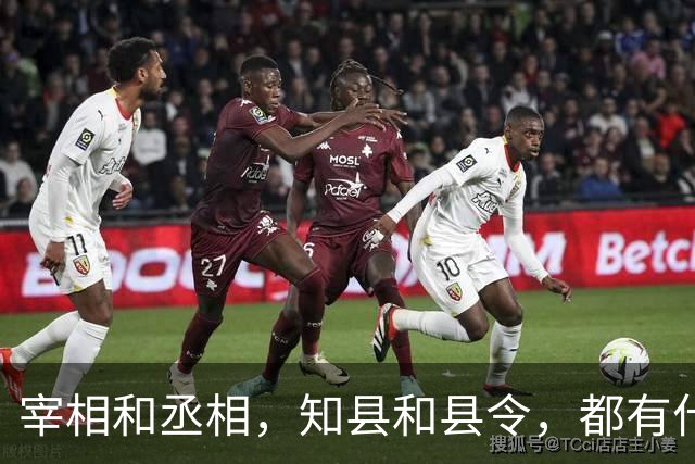 宰相和丞相，知县和县令，都有什么区别？