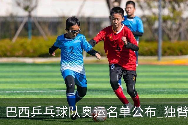 巴西乒乓球队奥运名单公布 独臂女将出战两个奥运