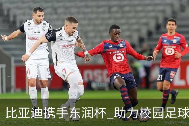 比亚迪携手东润杯 助力校园足球少年圆梦工体