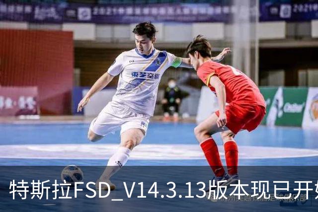 特斯拉FSD V14.3.13版本现已开始推送 用户可OTA升级