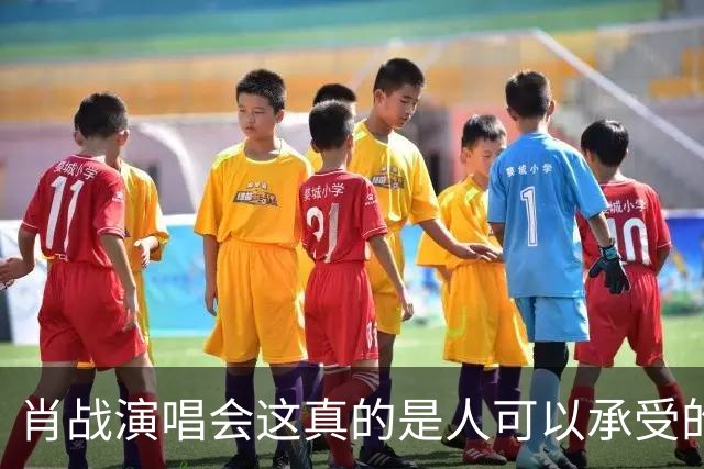 肖战演唱会这真的是人可以承受的吗？散场后还设心理疏导岗