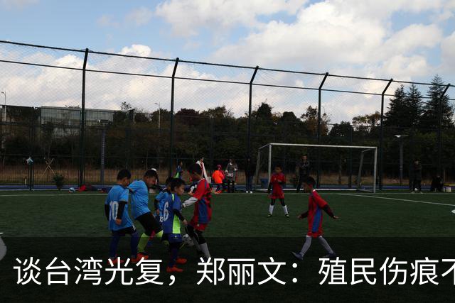 谈台湾光复，郑丽文：殖民伤痕不应被美化，记取教训免于重蹈覆辙
