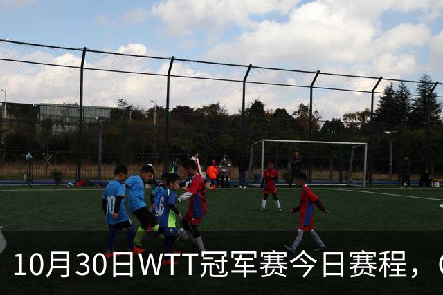 10月30日WTT冠军赛今日赛程，CCTV5直播国乒，孙颖莎决战申裕斌