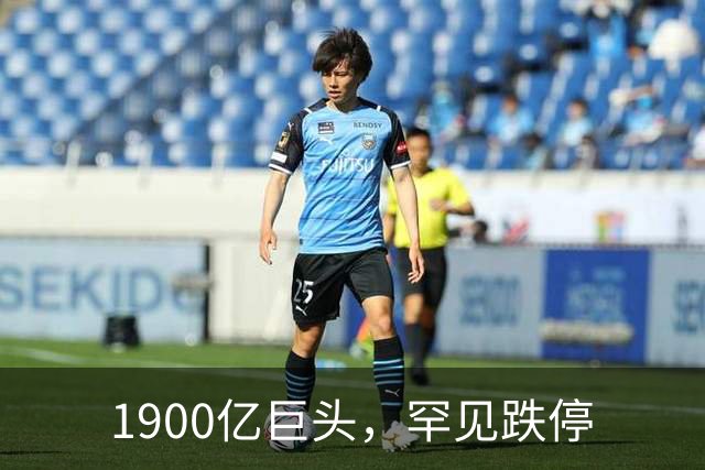 1900亿巨头，罕见跌停