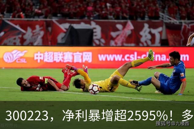 300223，净利暴增超2595%！多家A股公司业绩爆发