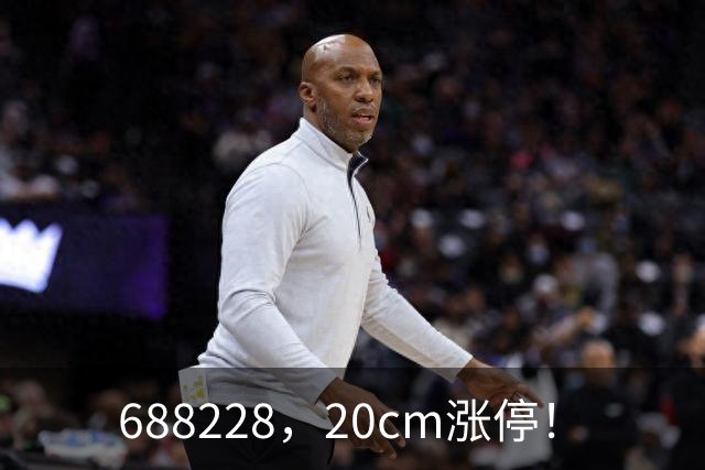 688228，20cm涨停！
